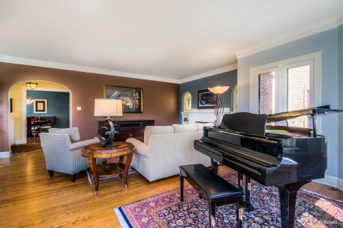 Solid Colors amazing wall painting