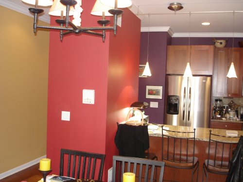 Dramatic Solid Colors beautiful wall design