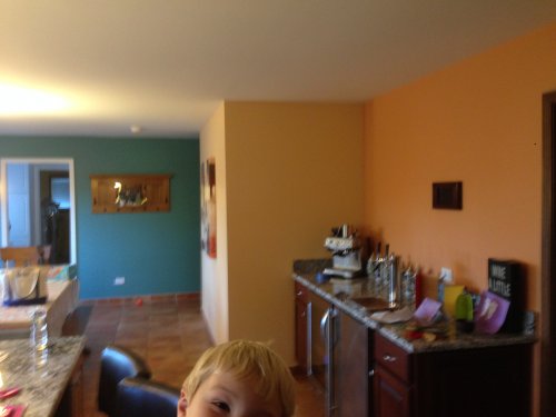 Dramatic Solid Colors amazing wall decor ideas