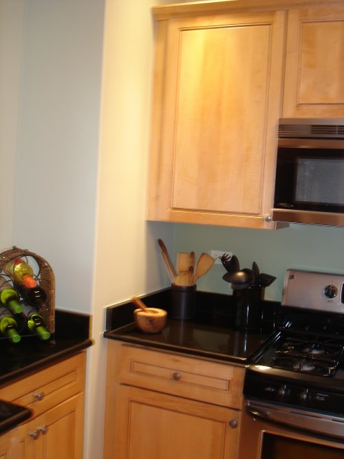 Dramatic Solid Colors beautiful interior wall design